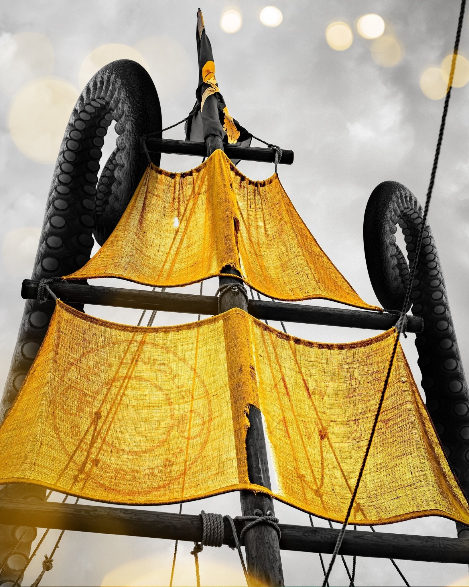 The Porthole Collection: AW25 Launching 26th September, 7PM (6PM for Subscribers) - Horzehoods