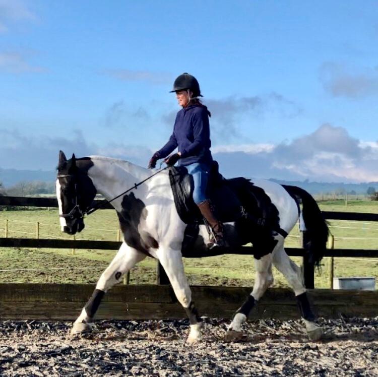 Wednesdays with Jen (Episode 6) Working out an exercise plan for your horse - Horzehoods