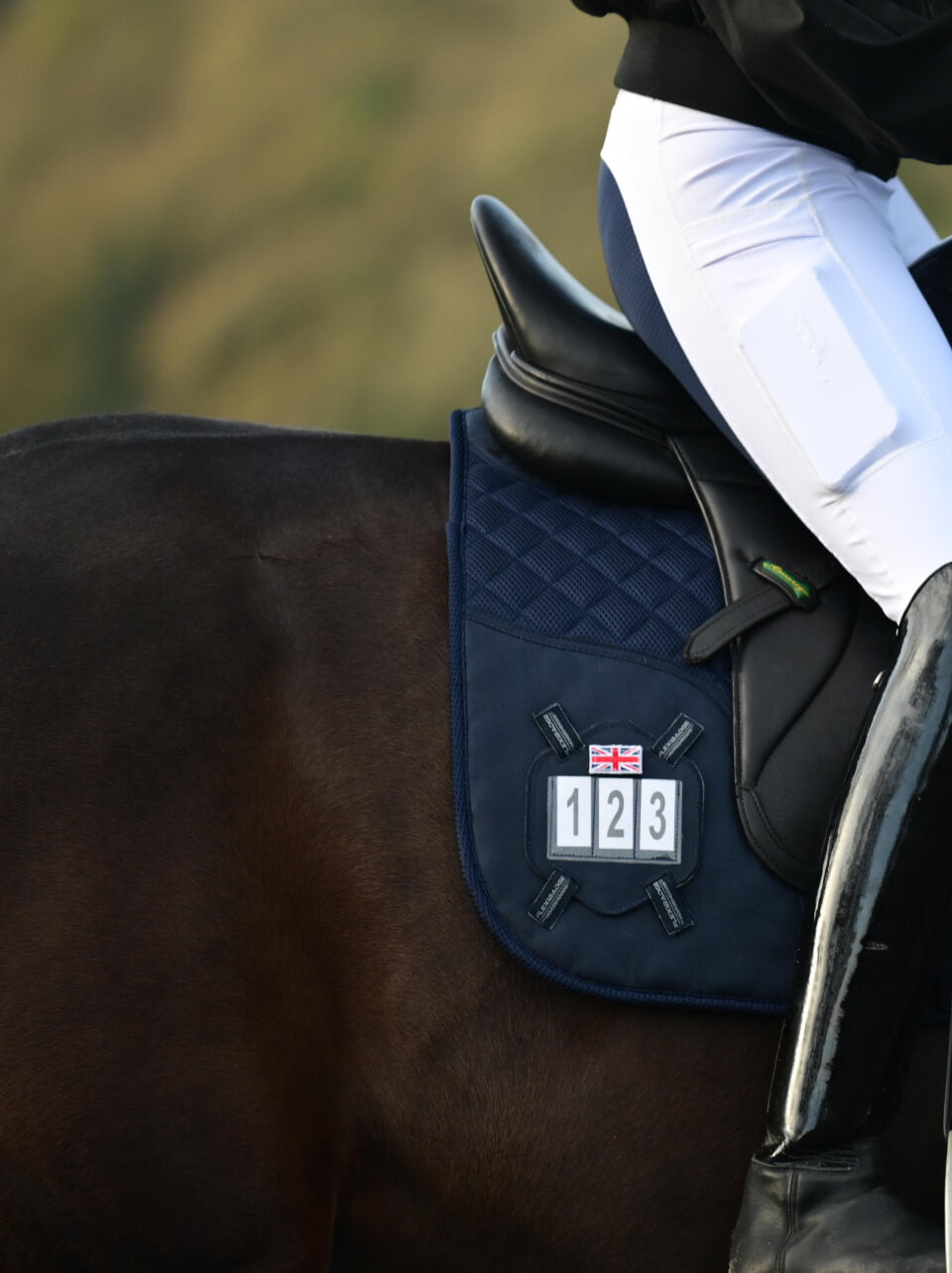 Accessories - Horzehoods