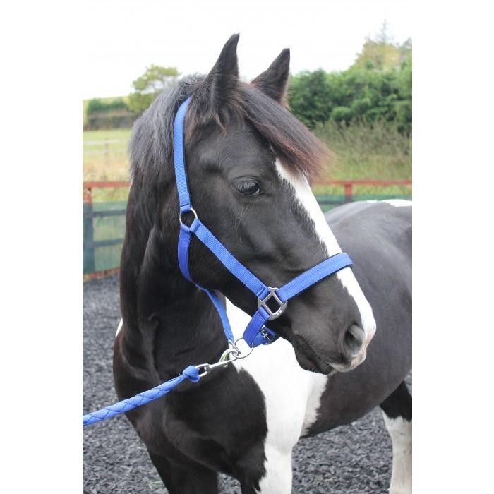 Head Collars - Horzehoods