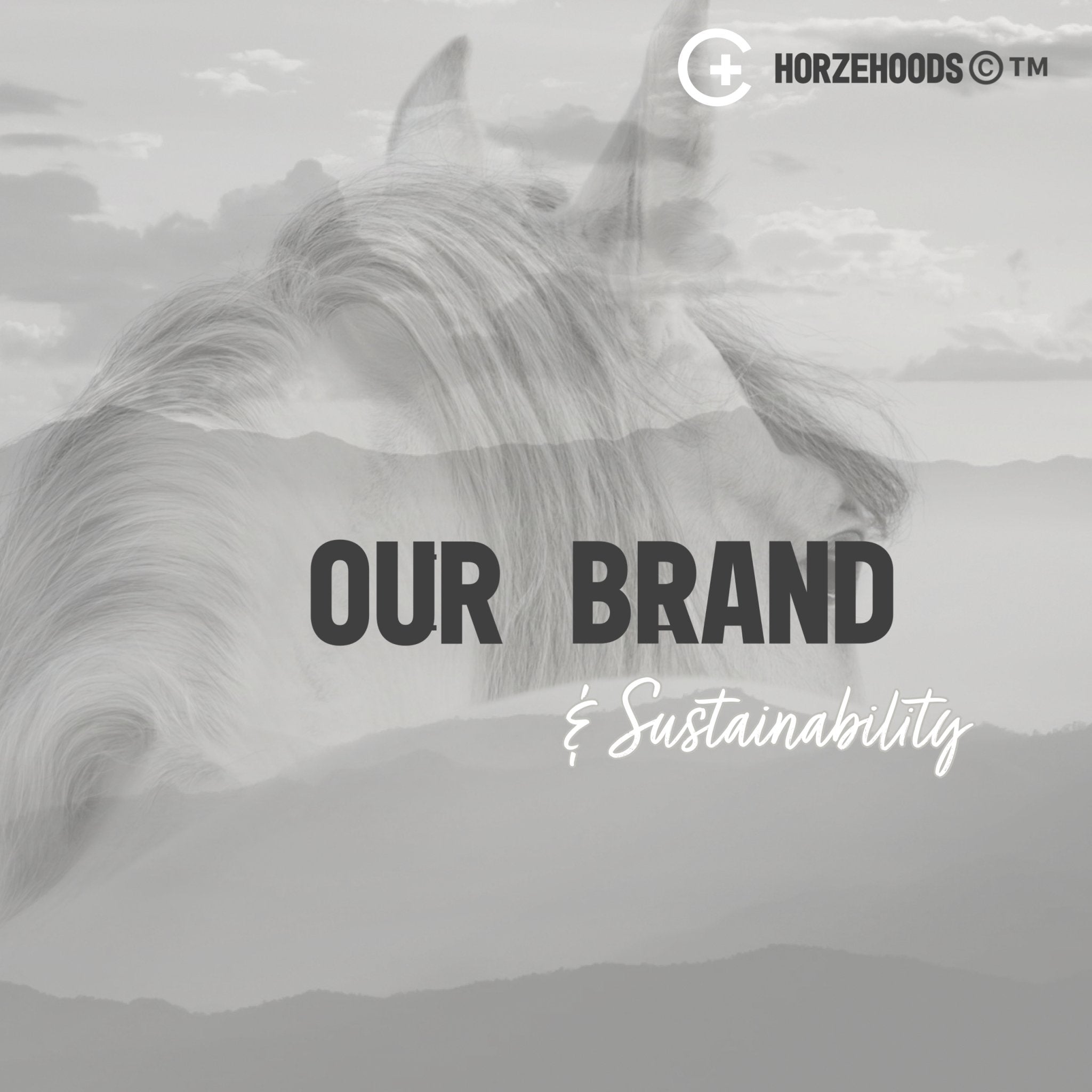 SUSTAINABILITY OUTLET - Horzehoods