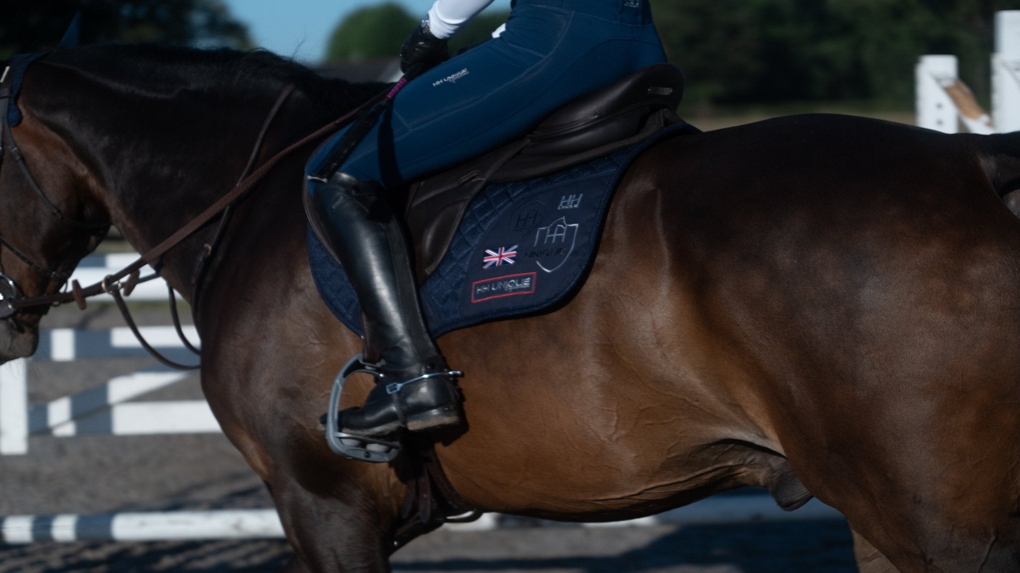 The Performance Collection - Horzehoods