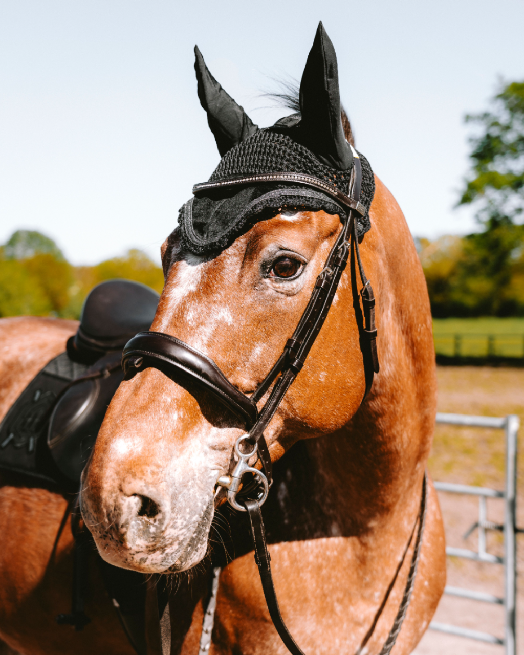 HORZEHOODS® Black Competition SecuraStrap™© Ears