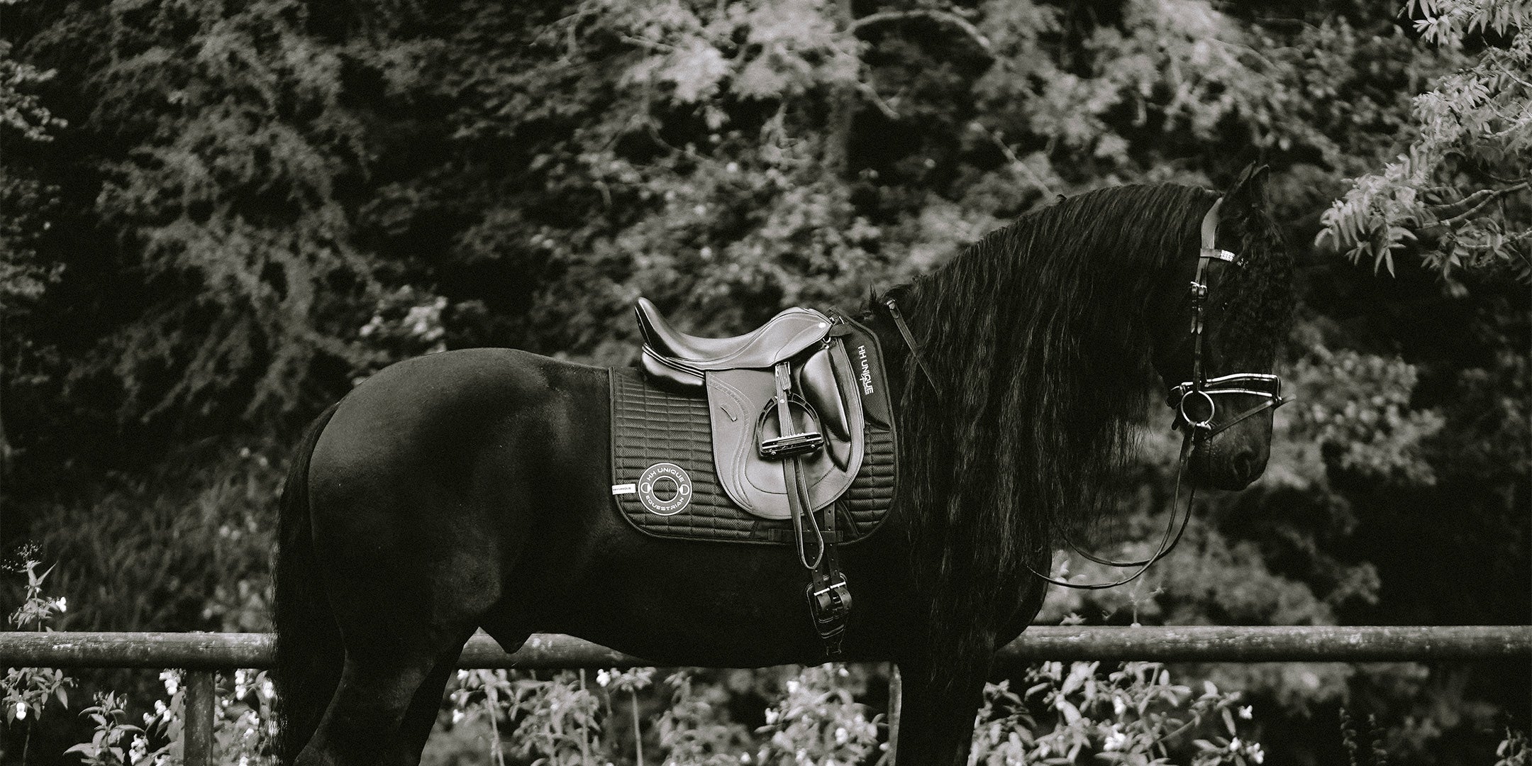 HORZEHOODS® Black & Gold Porthole AirGel Pad Dressage on Friesian Horse