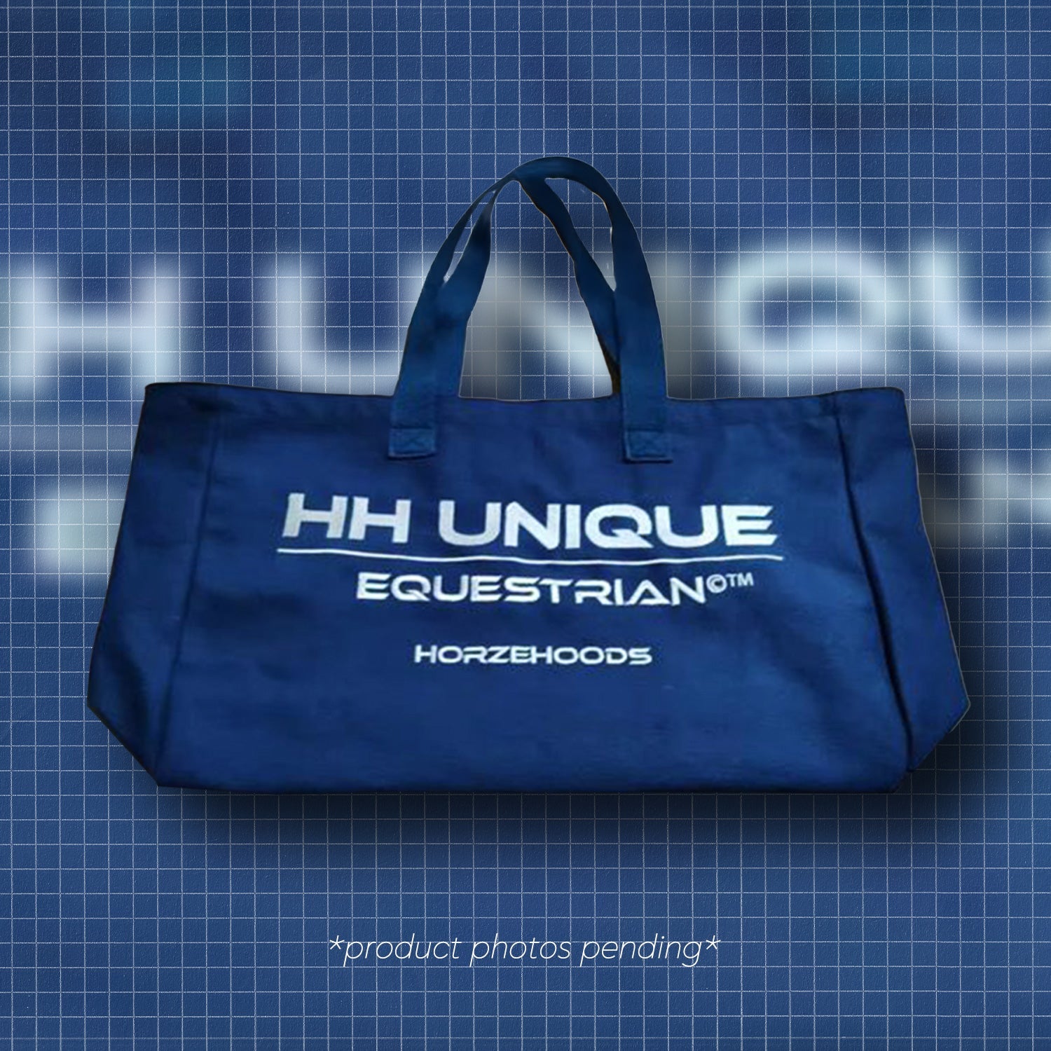 HORZEHOODS® 'Bits & Boots' Bag in Navy & Silver (PO 6/10) - Horzehoods