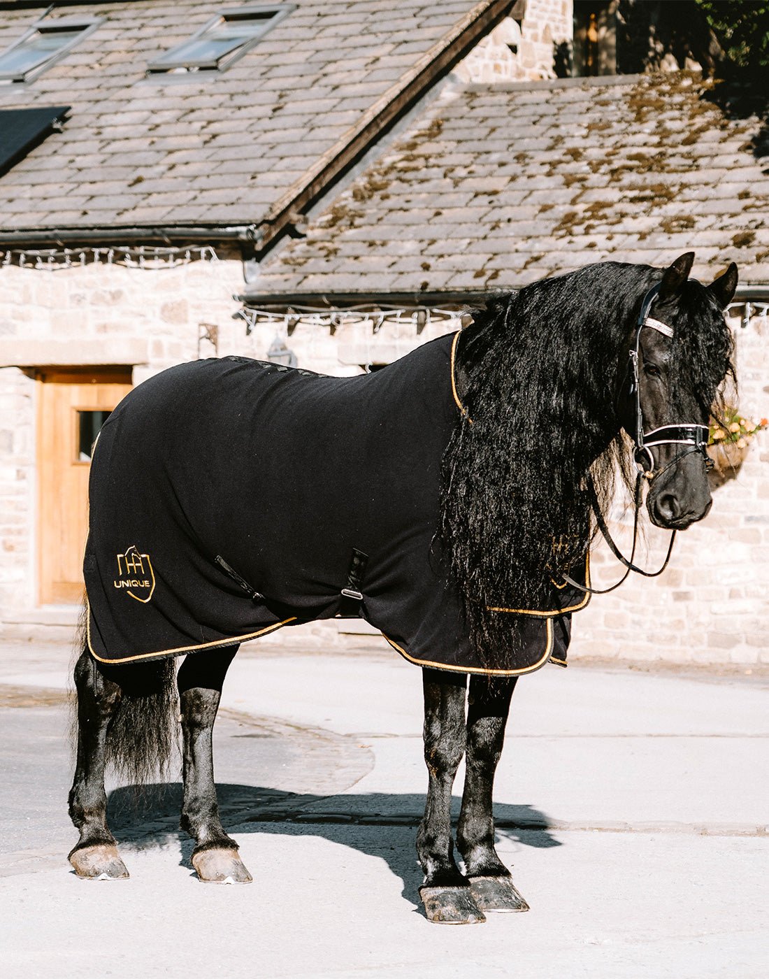 HORZEHOODS® Black & Gold Luxury Rug - Horzehoods5056725018955