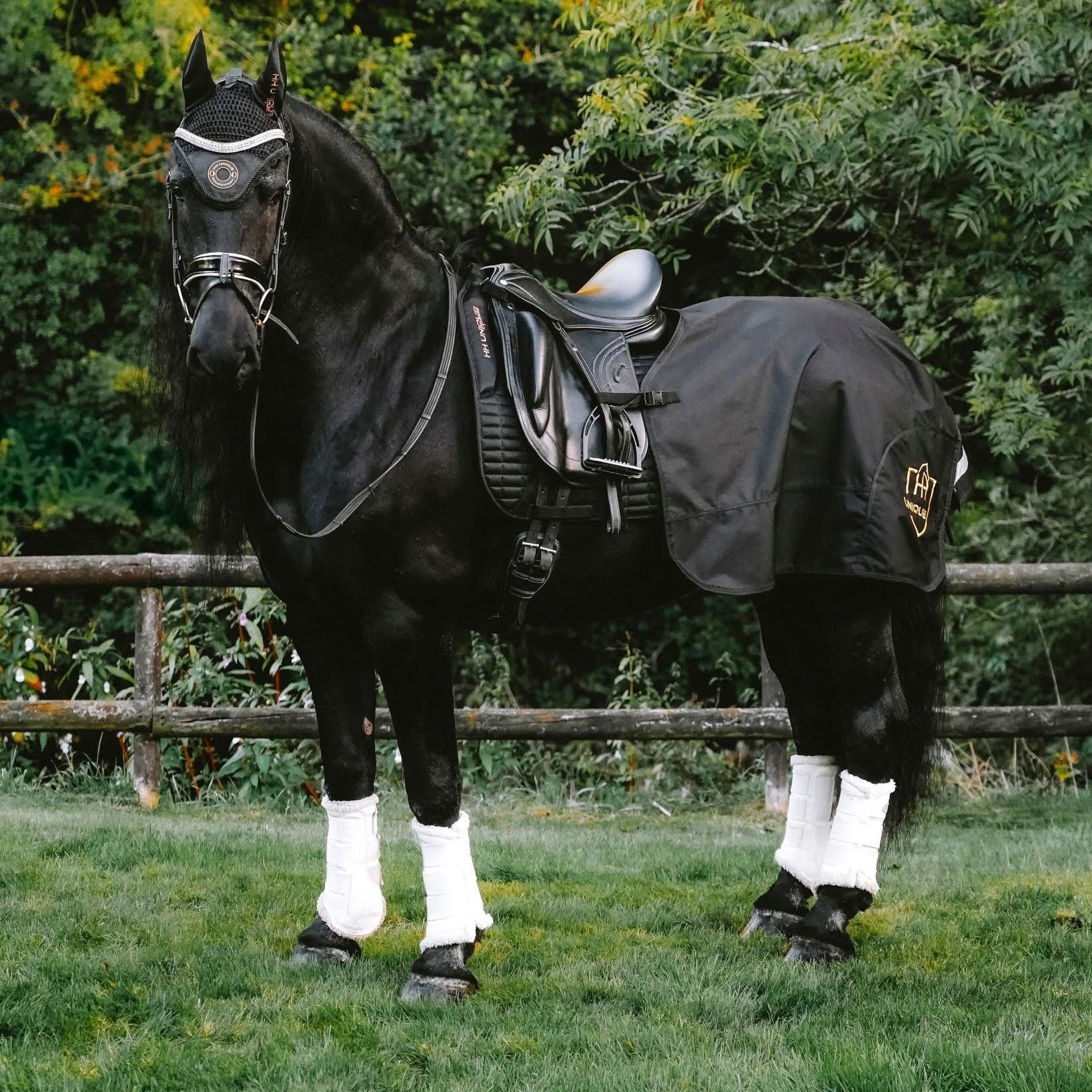 HORZEHOODS® Black & Gold Porthole AirGel Pad Dressage - Horzehoods5056725017491