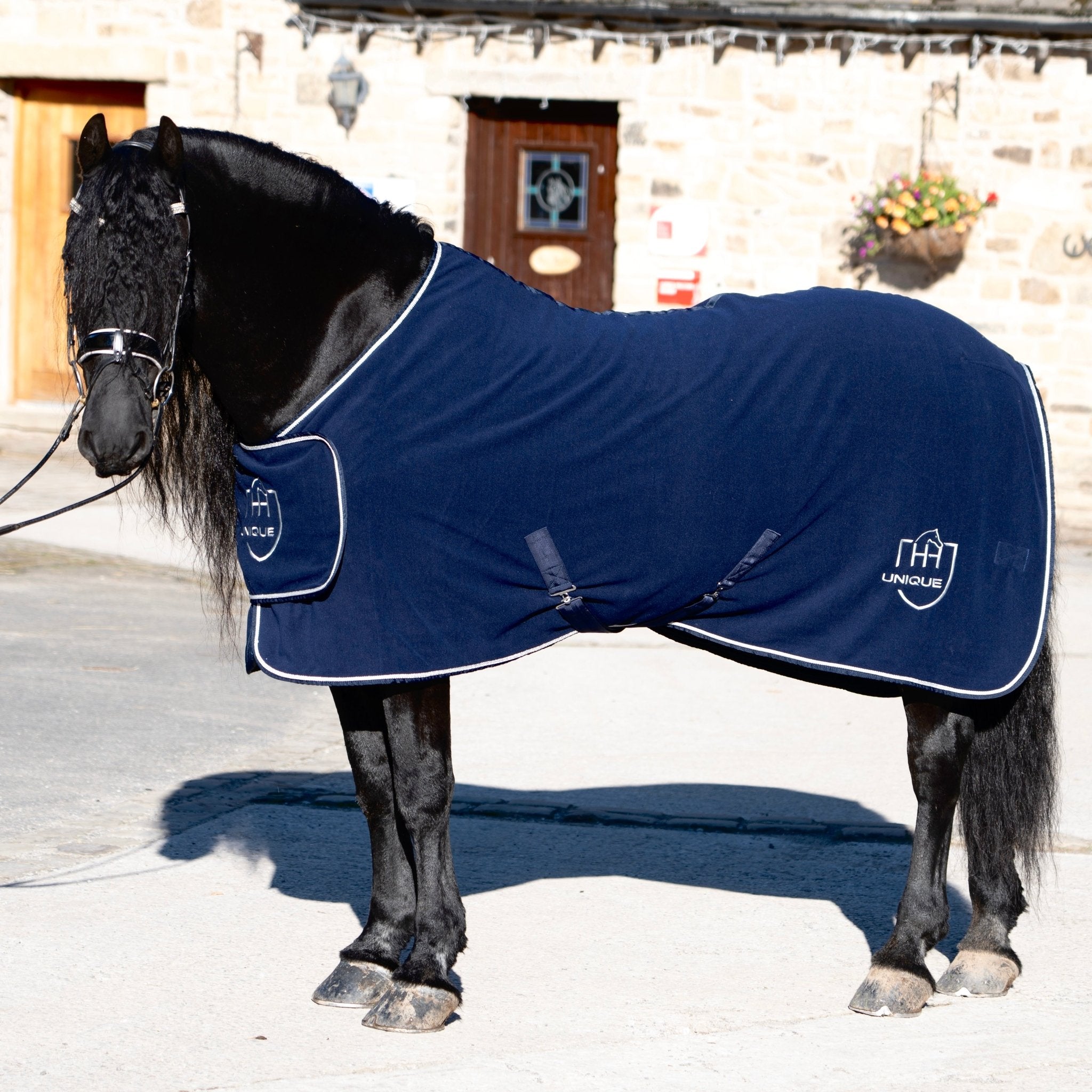 HORZEHOODS® Navy & Silver Luxury Rug - Horzehoods5056725018948