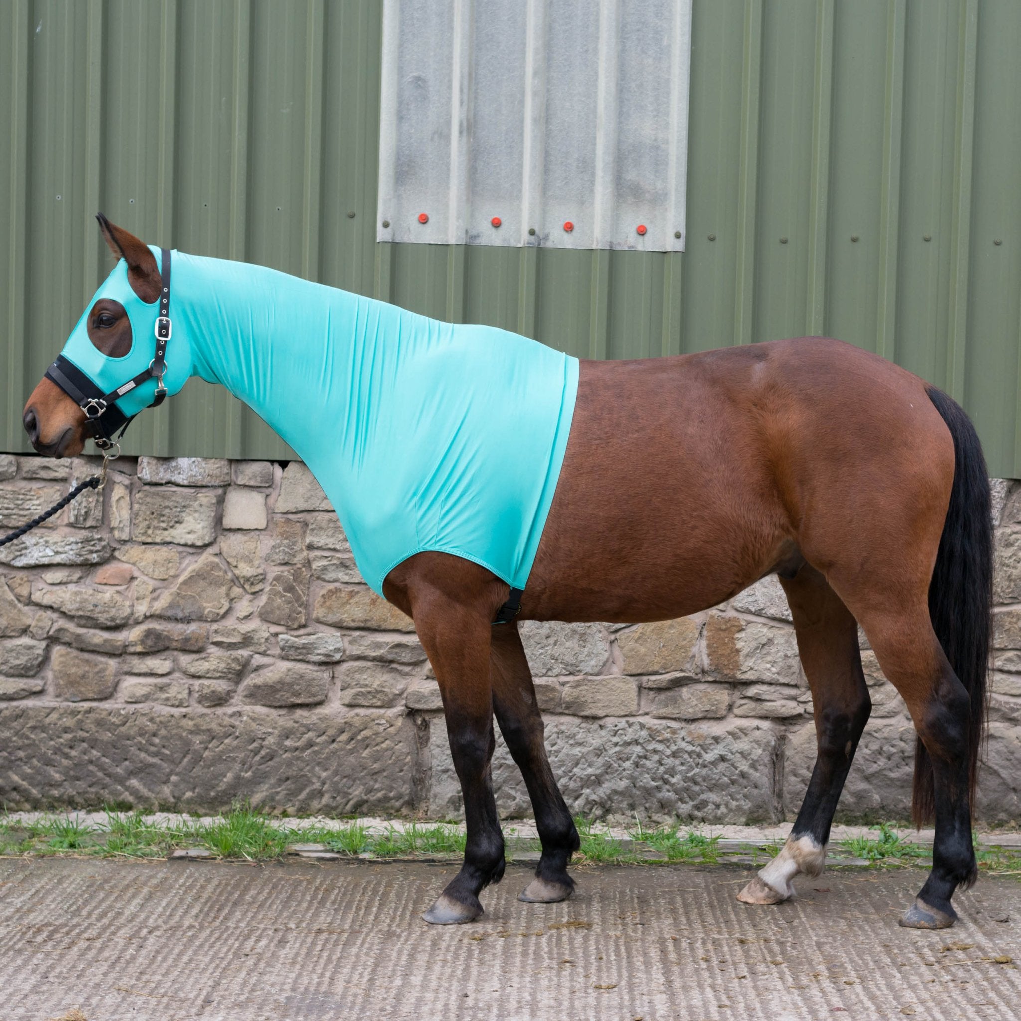 Horzehoods® Original Stretch Hood (No Ears) – Breathable Horse Hood - Horzehoods5056725015916