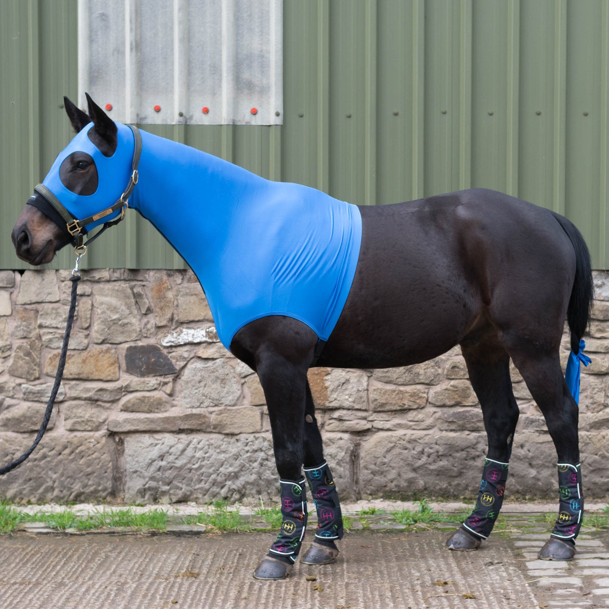 Horzehoods® Original Stretch Hood (No Ears) – Breathable Horse Hood - Horzehoods5056725010737