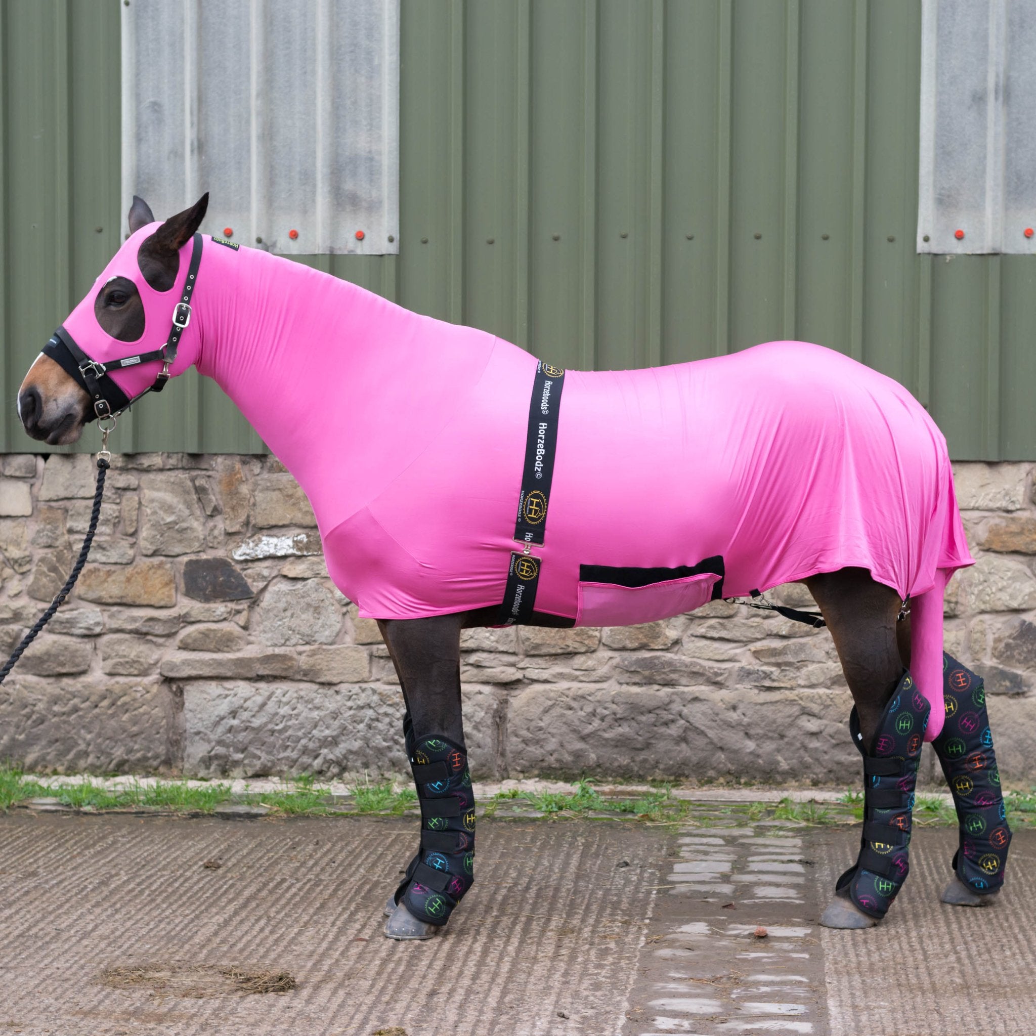 HORZEHOODS® The ORIGINAL HorzeBodz™ (Full 3 Piece Body Set - NO EARS) - Horzehoods5056725016227