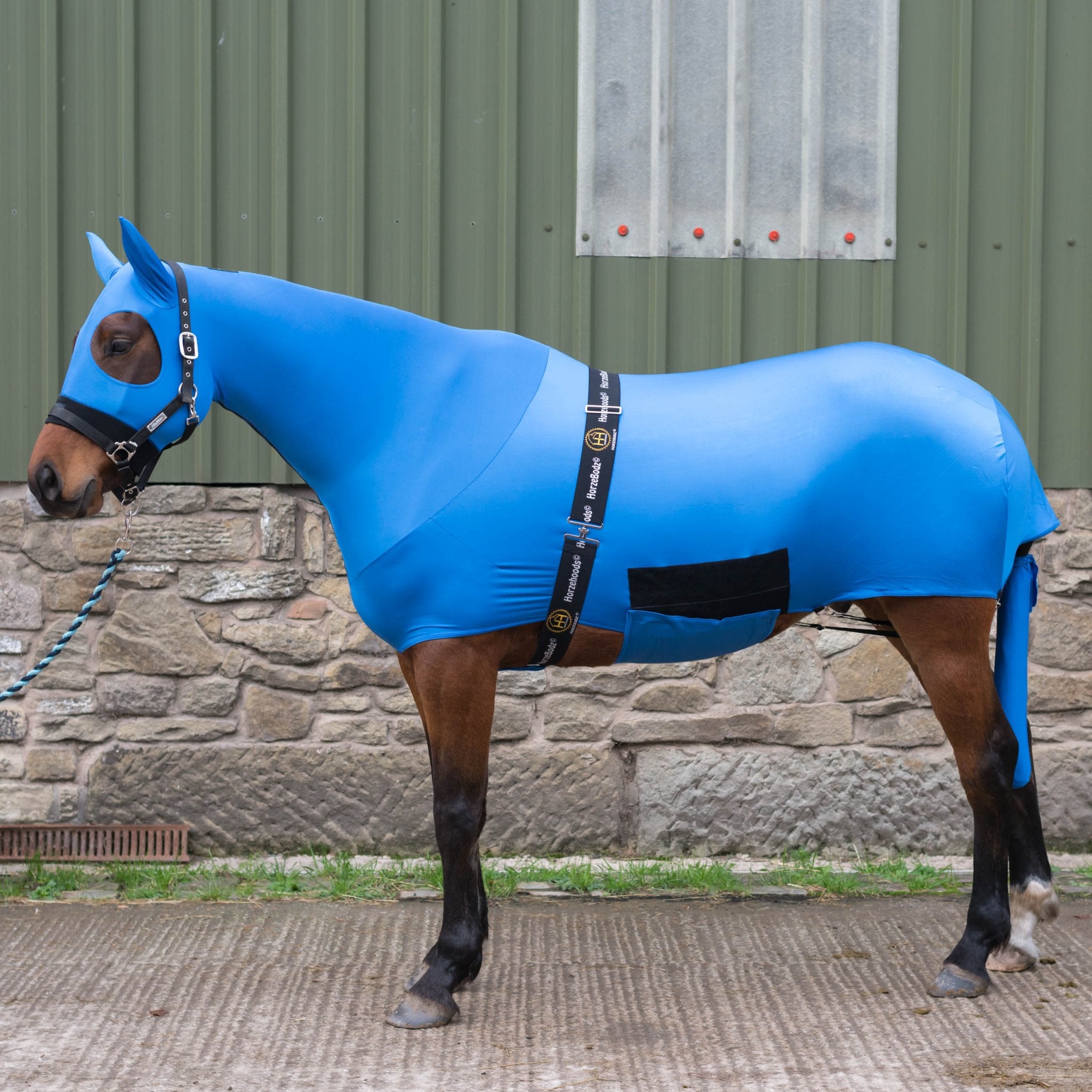 HORZEHOODS® The ORIGINAL HorzeBodz™ (Full 3 Piece Body Set - WITH EARS) - Horzehoods5056725016128