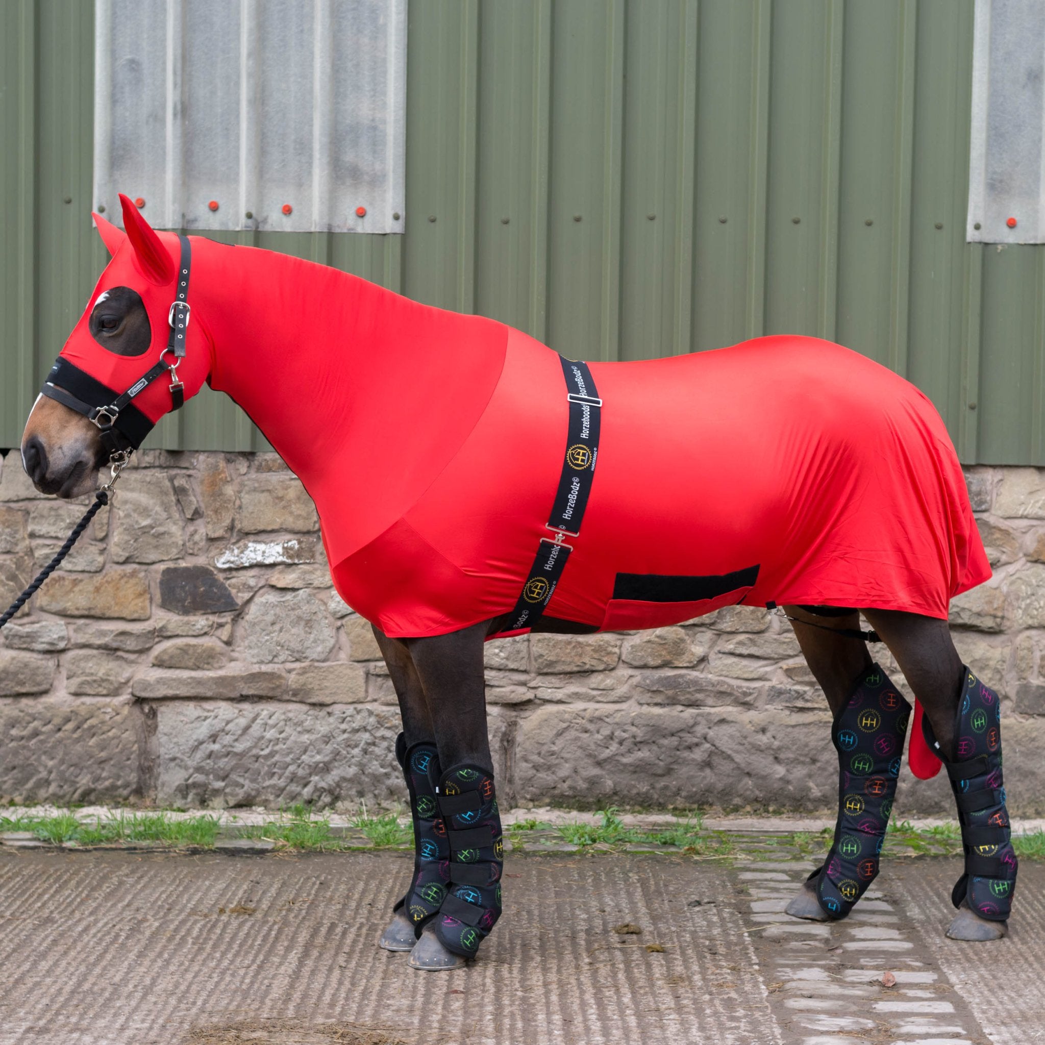 HORZEHOODS® The ORIGINAL HorzeBodz™ (Full 3 Piece Body Set - WITH EARS) - Horzehoods5056725012311