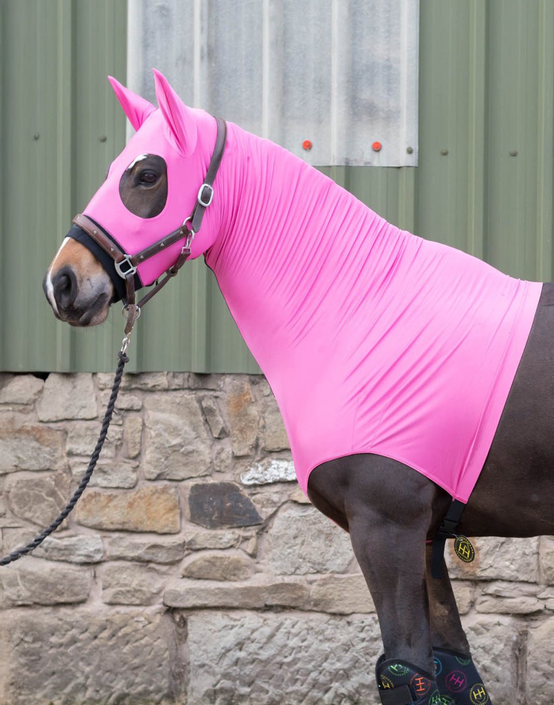 HORZEHOODS® The ORIGINAL HORZEHOOD™ Stretch Hood (WITH EARS) - Horzehoods5056725010195