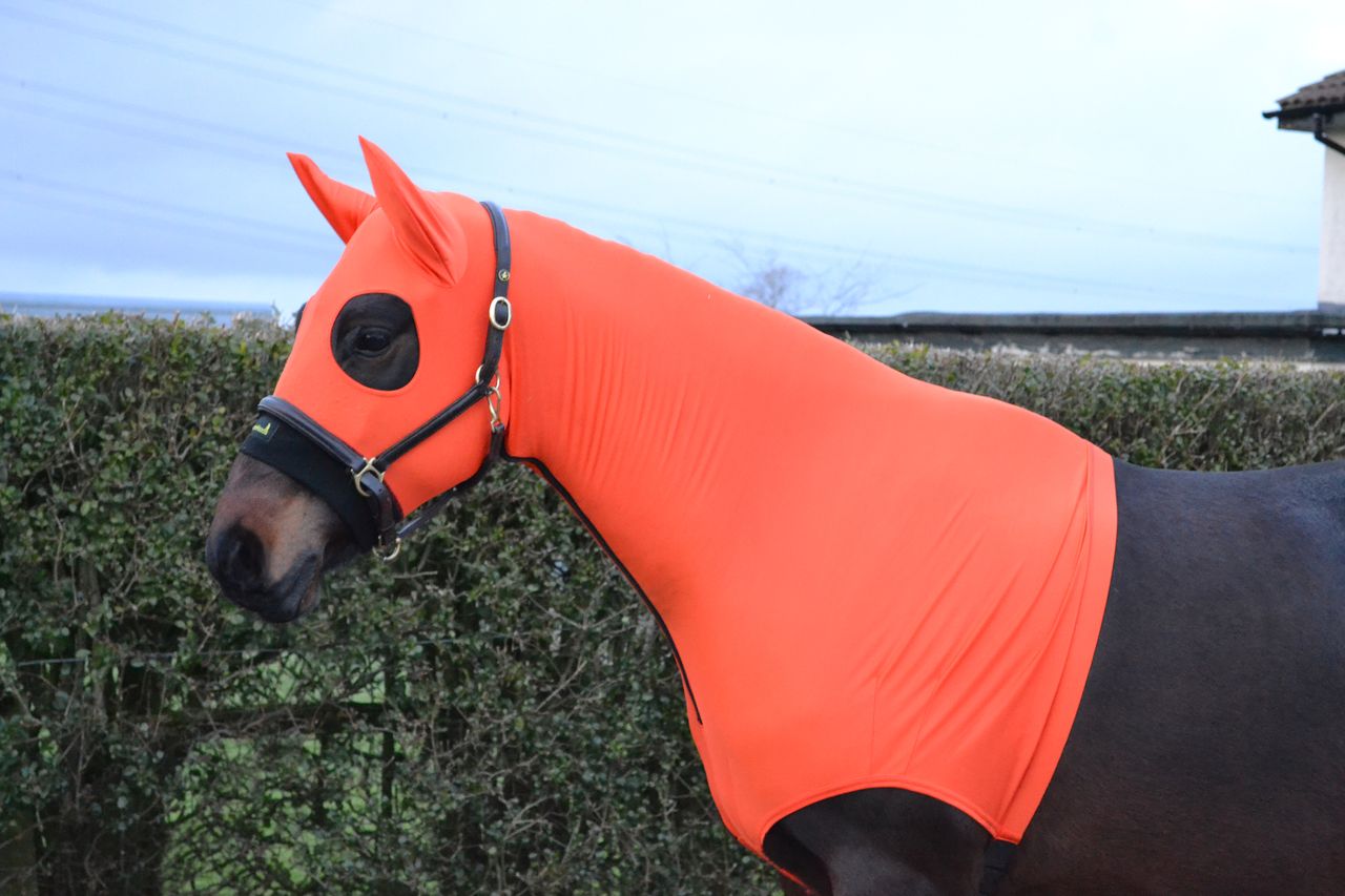 HORZEHOODS® The ORIGINAL HORZEHOOD™ Stretch Hood (WITH EARS) - Horzehoods5056725025533