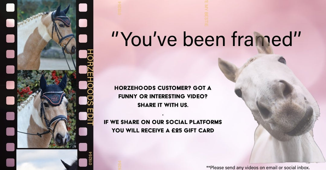 HORZEHOODS Equestrian 'You've Been Framed' - Horzehoods