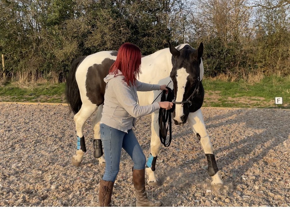 Wednesdays with Jen (Episode 3)  Developing Correct Movement in the Horse - Horzehoods