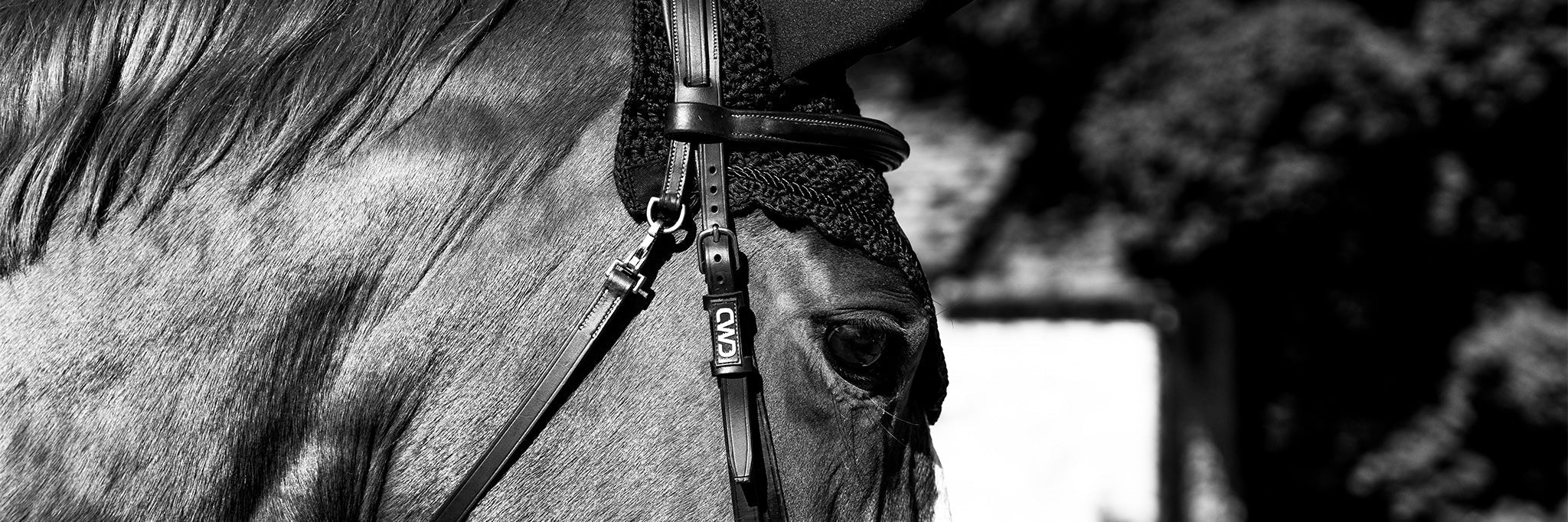 Back in Stock - HORZEHOODS® Rider Favourites