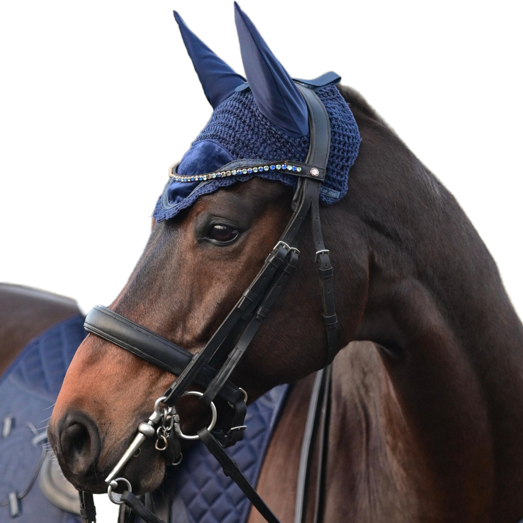 Navy - Horzehoods
