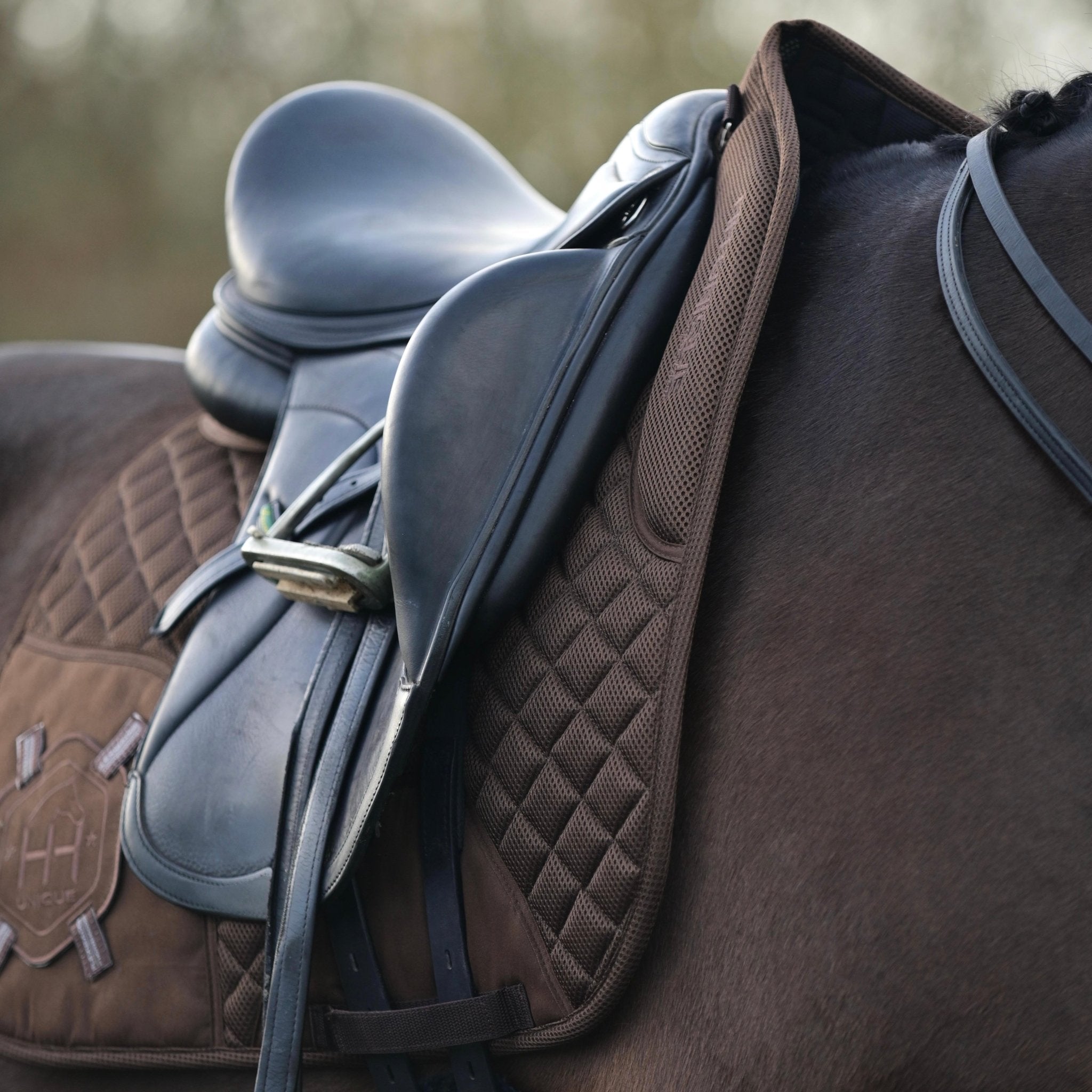 2 - 1 Brown Competition Dressage Pad & Kit - Horzehoods5056725002978