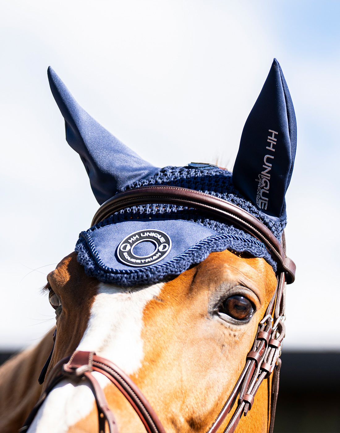 Horse wearing HORZEHOODS Navy Porthole Ears