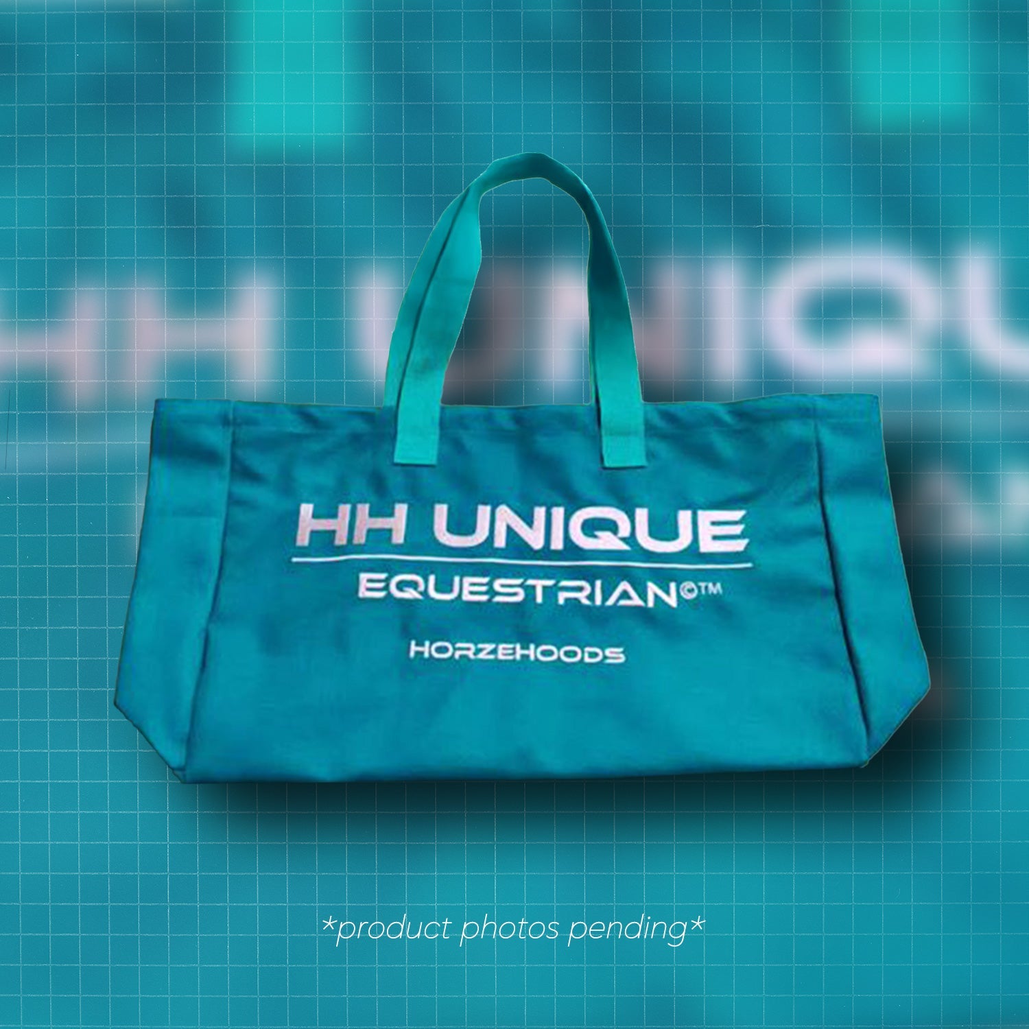 HORZEHOODS® 'Bits & Boots' Bag in Teal & Rose (PO 6/10) - Horzehoods