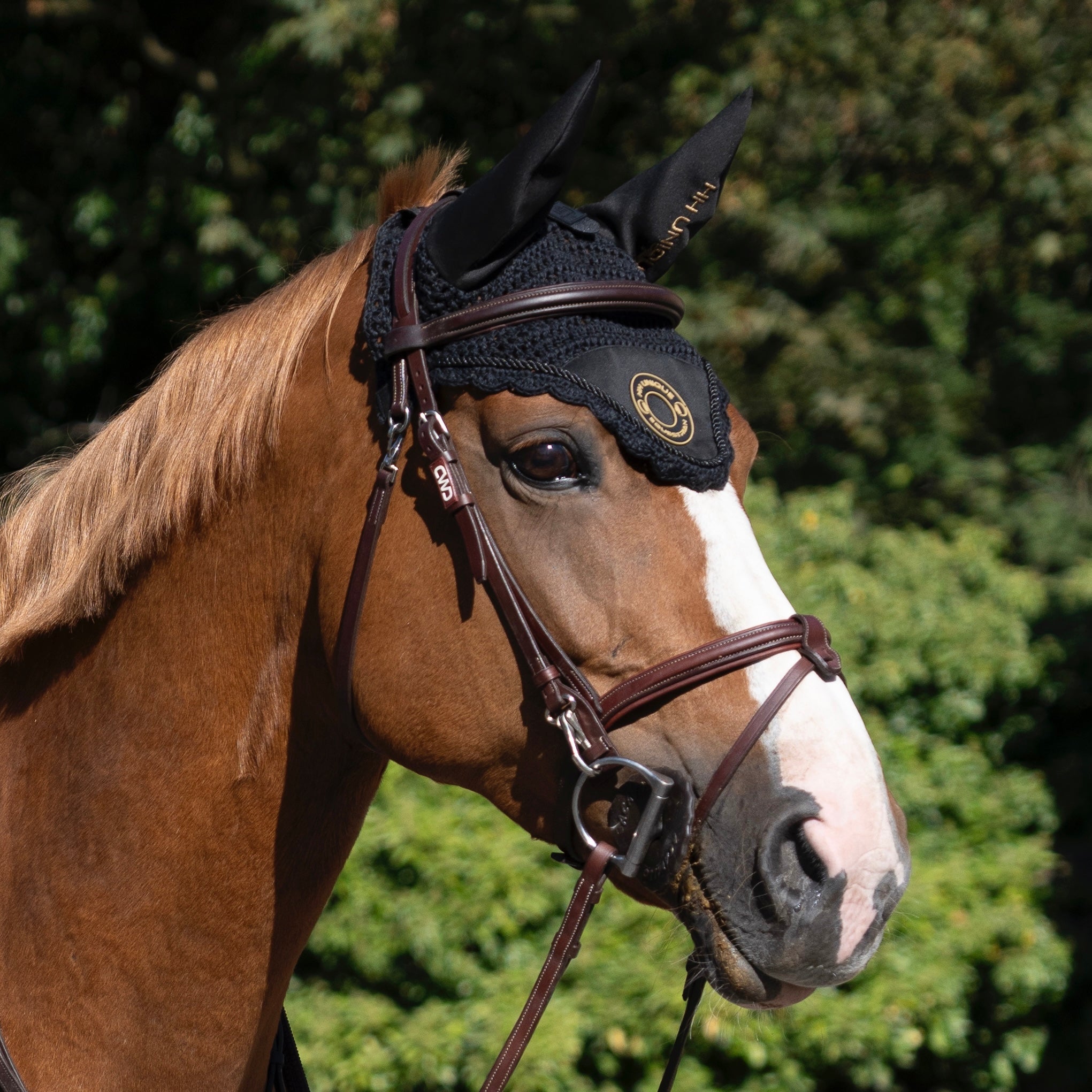HORZEHOODS® Black & Gold Porthole SecuraStrap™© Ears - Horzehoods5056725017569