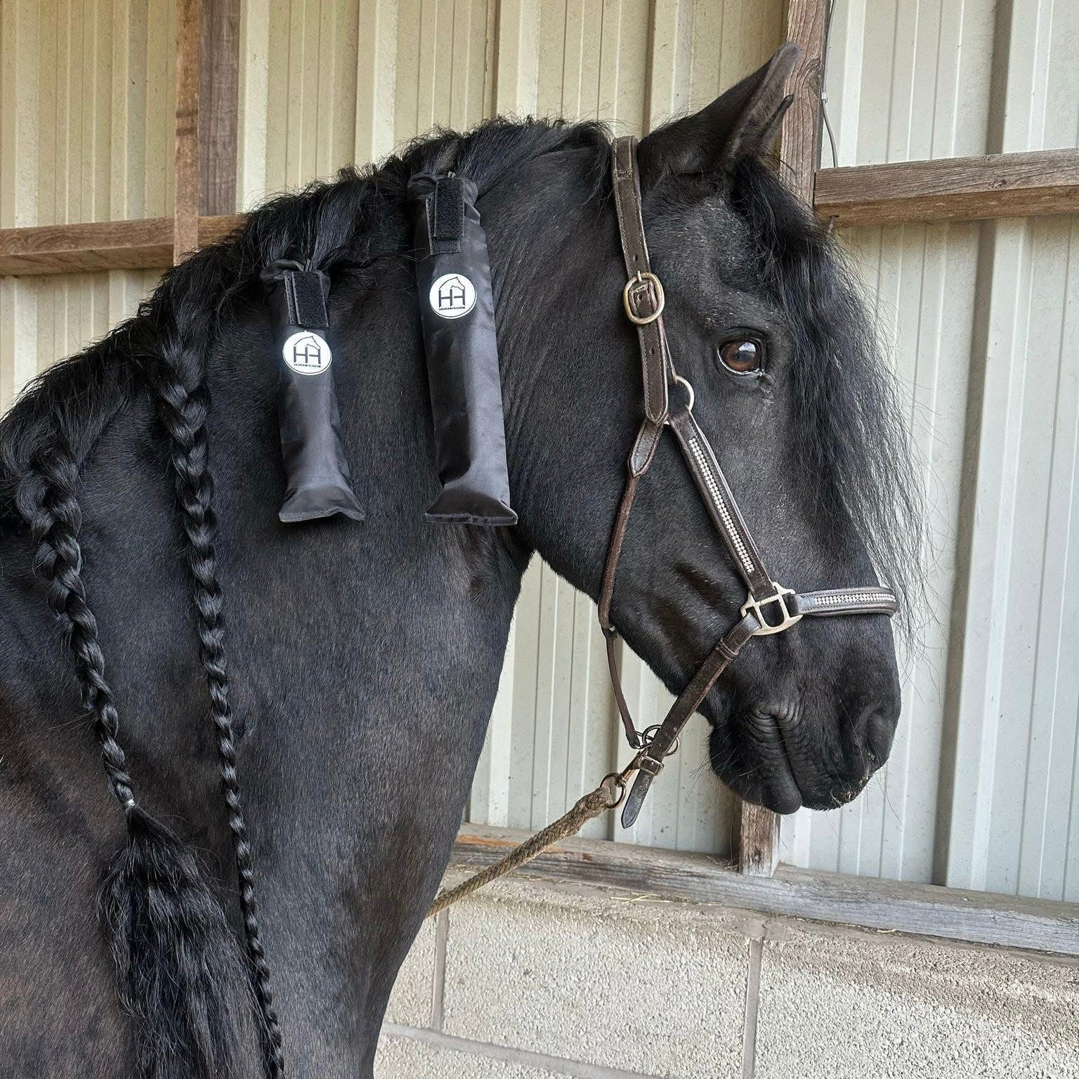 HORZEHOODS® Ultimate Mane & Tail Protection Gift Set (Bundle & Save) - Horzehoods
