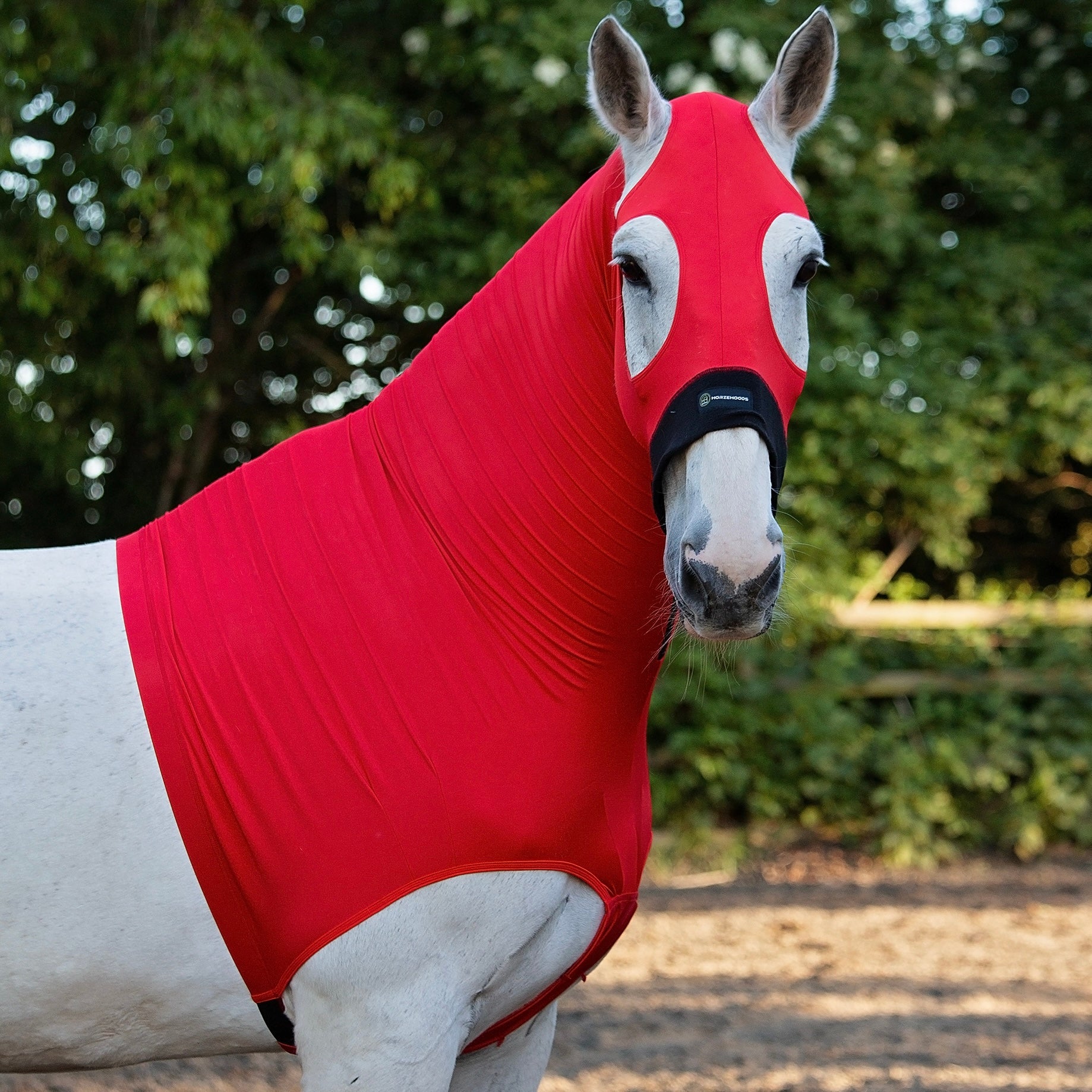 The ORIGINAL HORZEHOOD™ Stretch Hood (NO EARS) - Horzehoods